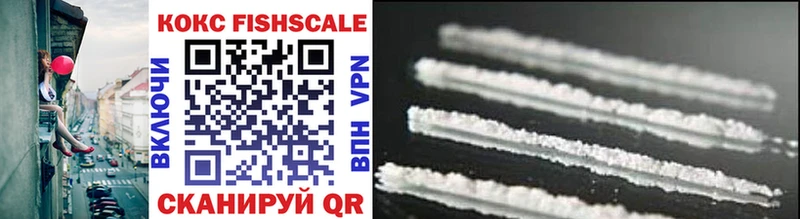 COCAIN Fish Scale  Купить  Октябрьск 