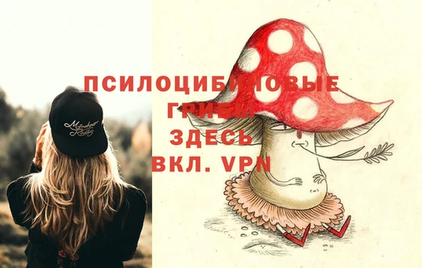 ALPHA-PVP Богородицк